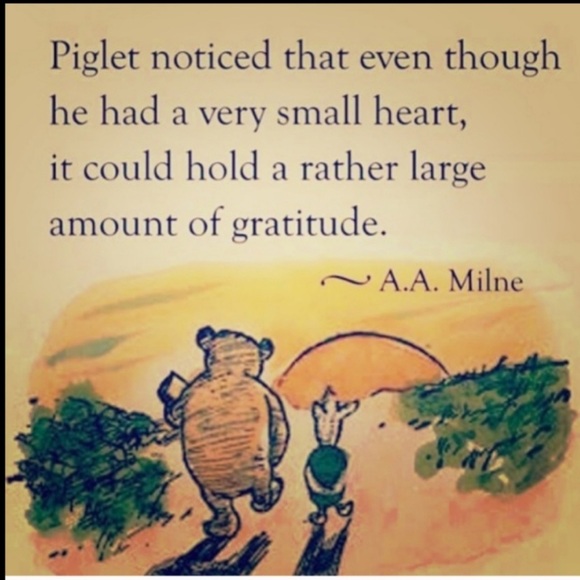 🫎 CARHARTT Red Quilted COVERALLS VNUC RARE 40 Tall UniSex - Picture 7 of 16